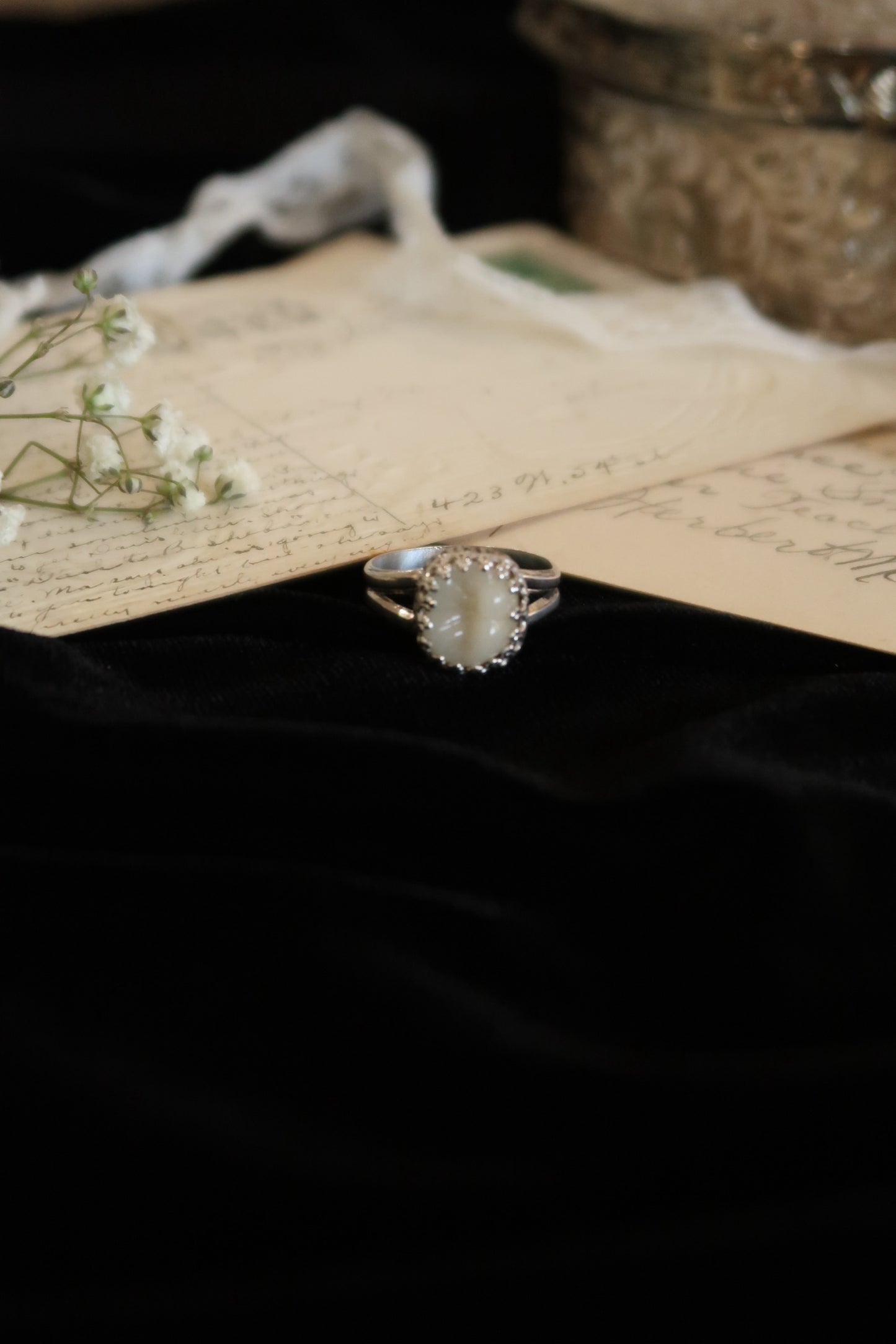Crown Bezel Tooth Ring -Size 8